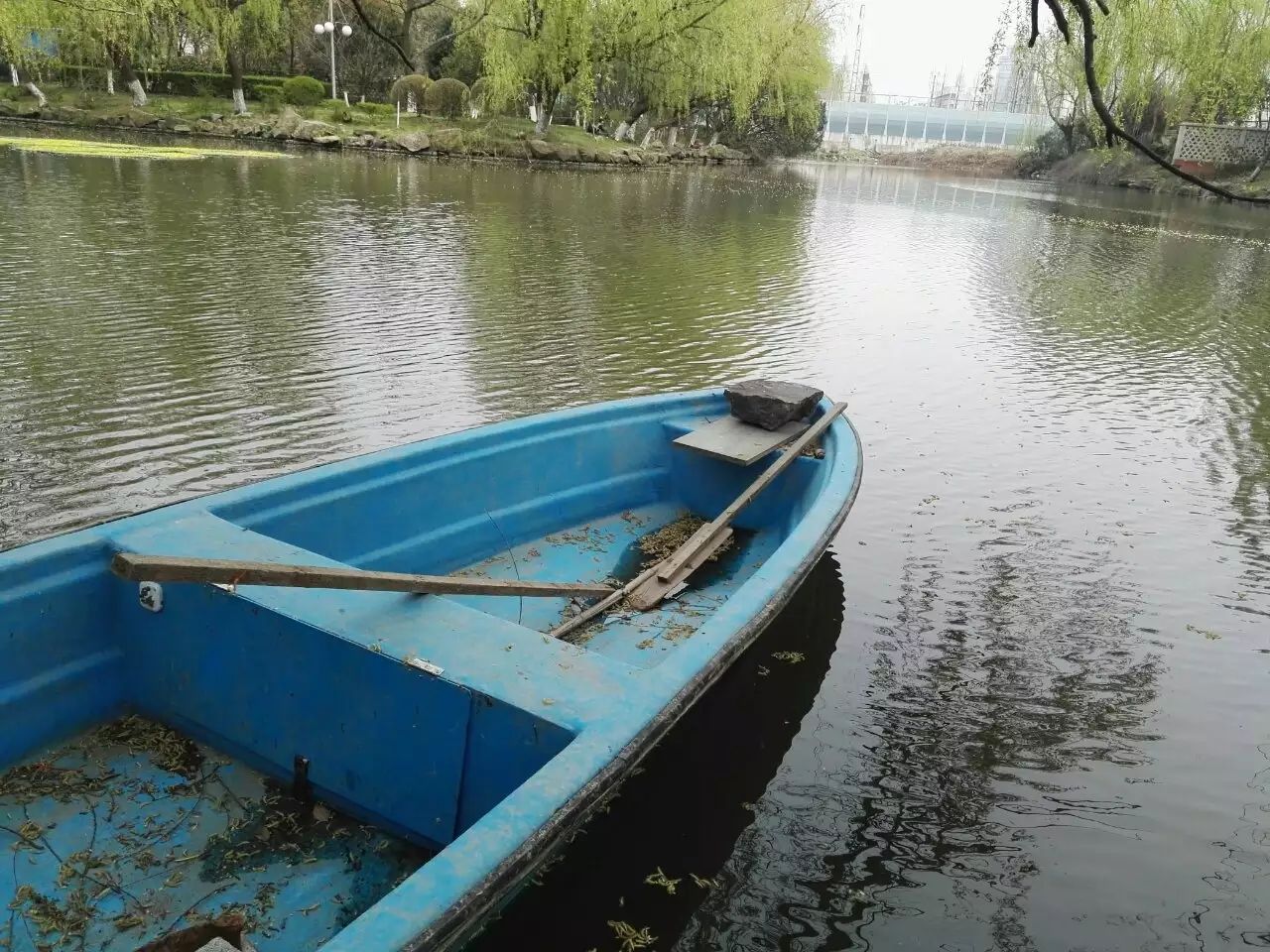 白云庄旅行图片 3