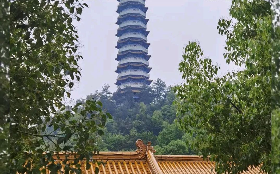 人民公园旅行图片 1