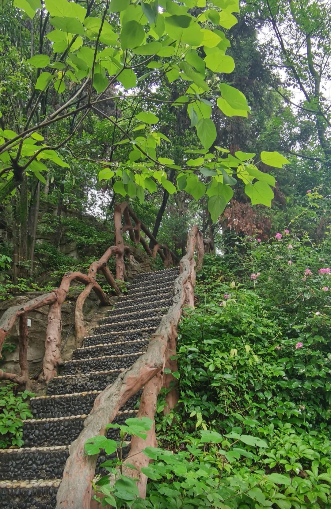 人民公园旅行图片 2