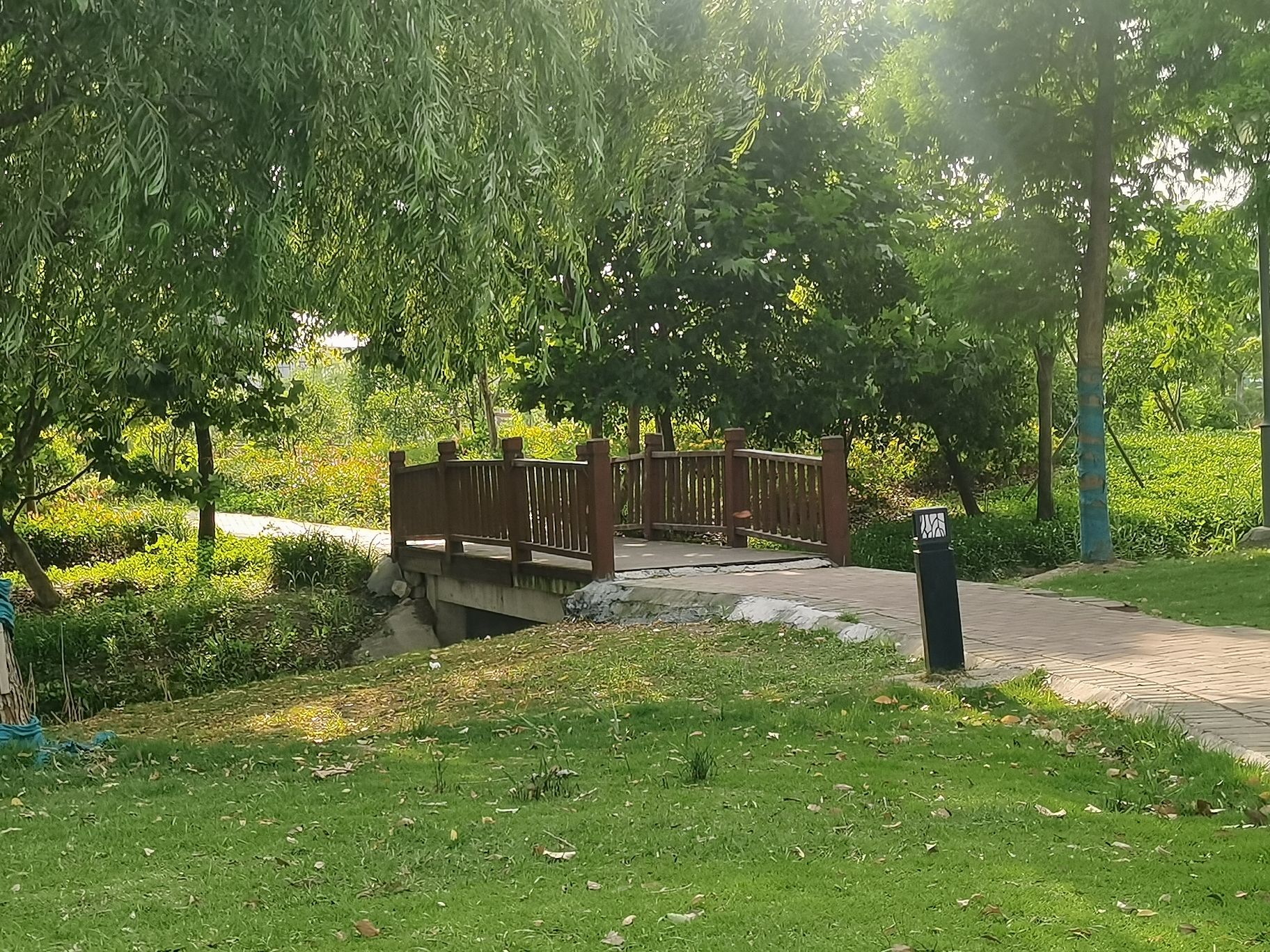 庵东公园旅行图片 1