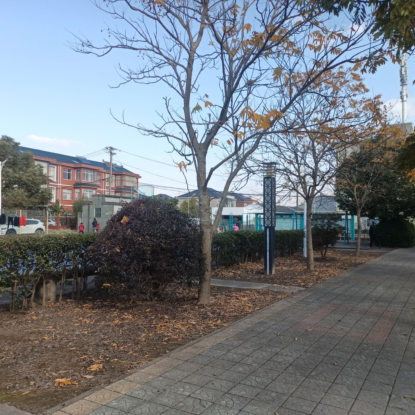 庵东公园旅行图片 2