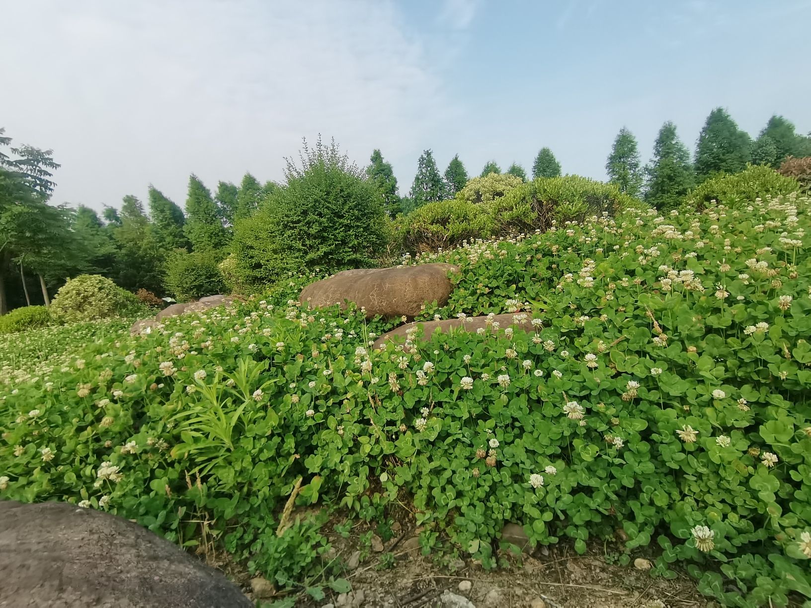 庵东公园旅行图片 3