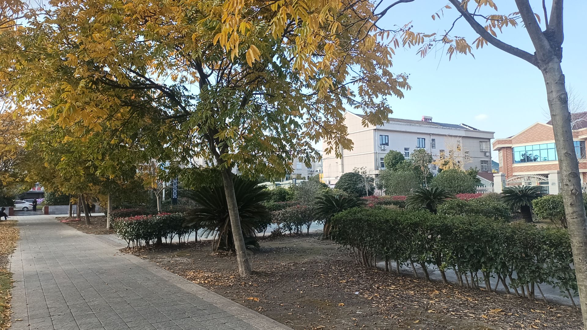 庵东公园旅行图片 1