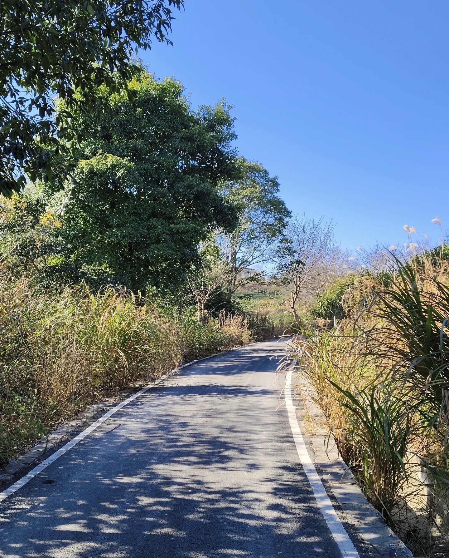 它山堰旅行图片 2