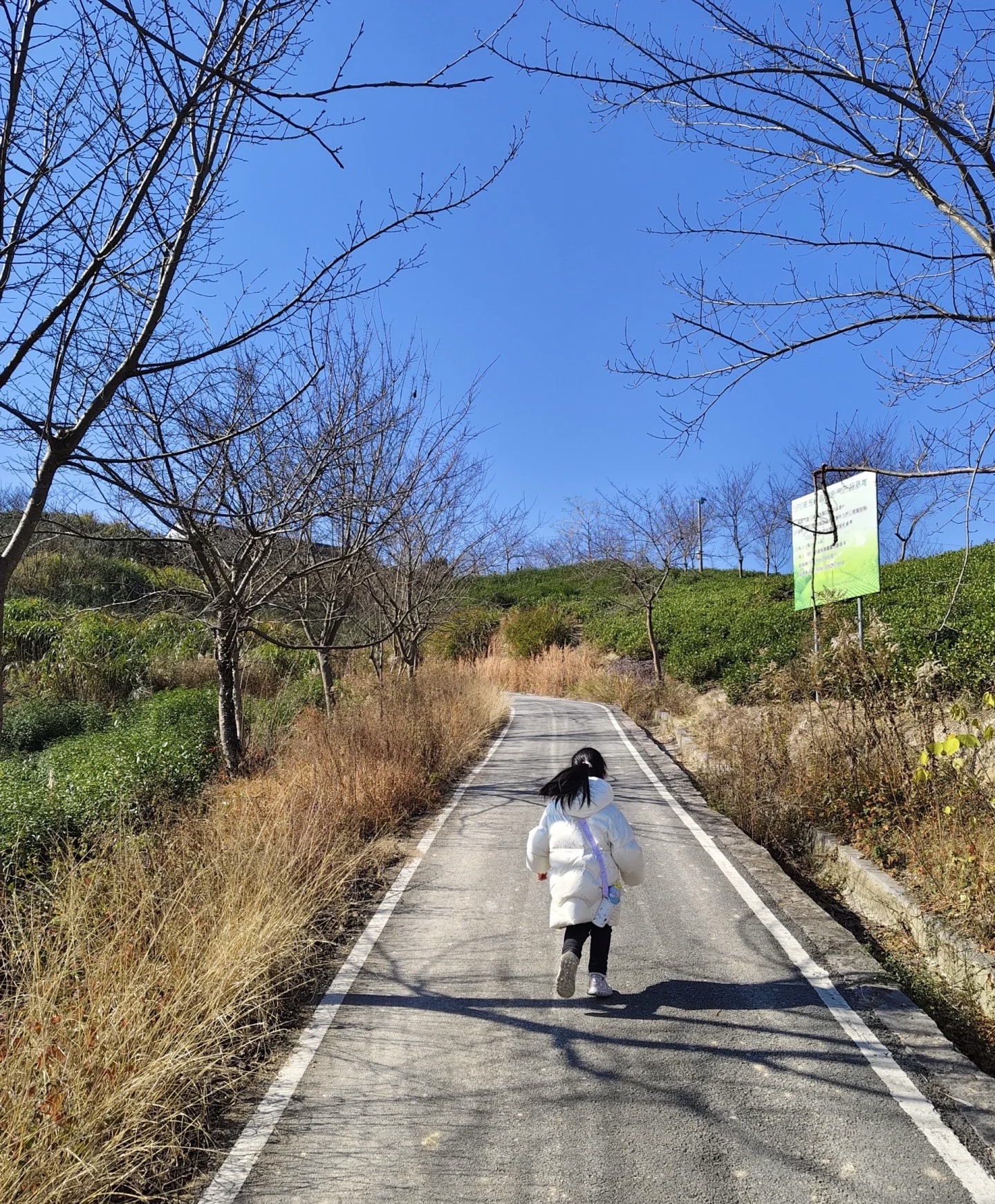 它山堰旅行图片 3