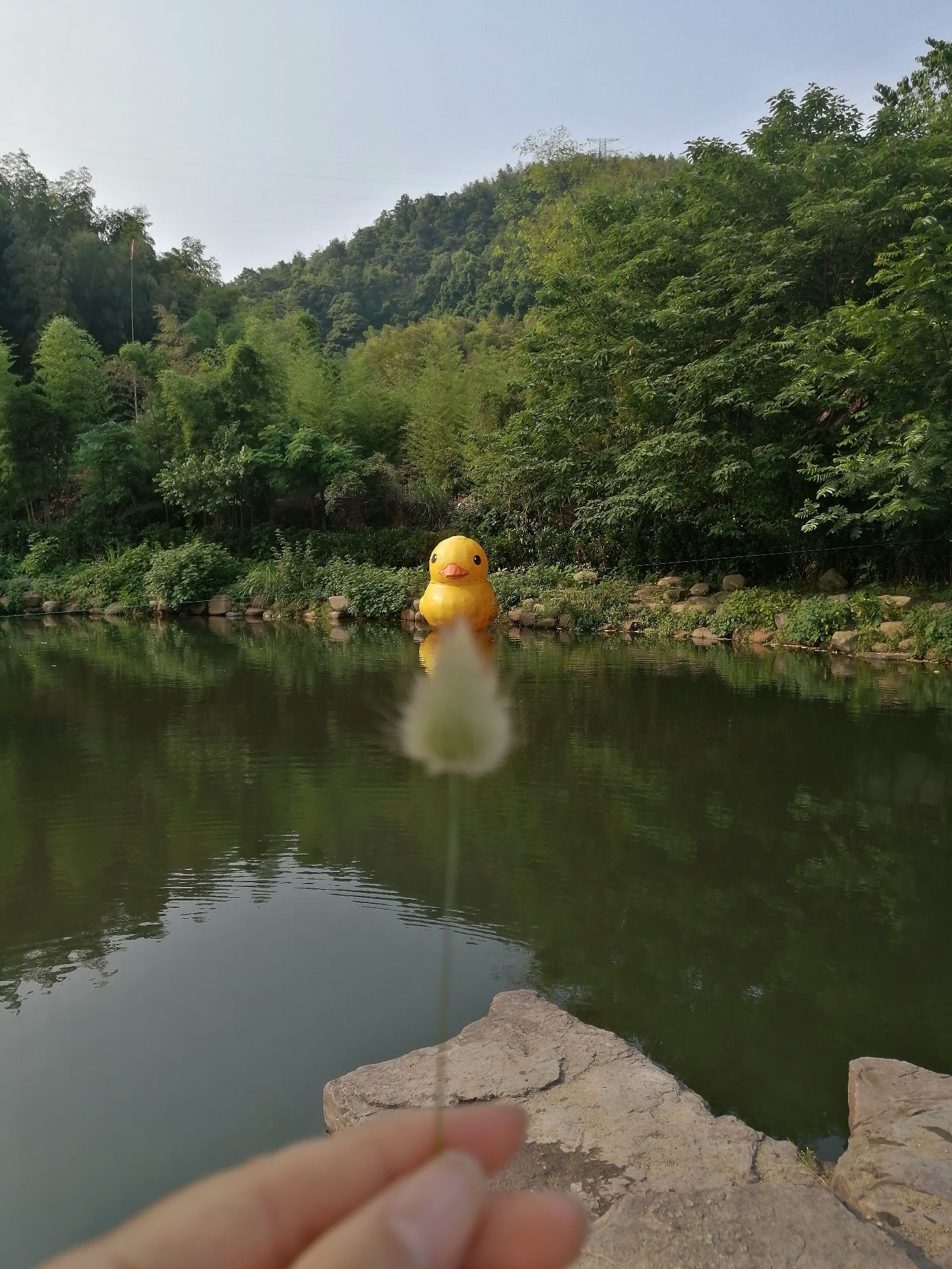 九龙潭景区旅行图片 2
