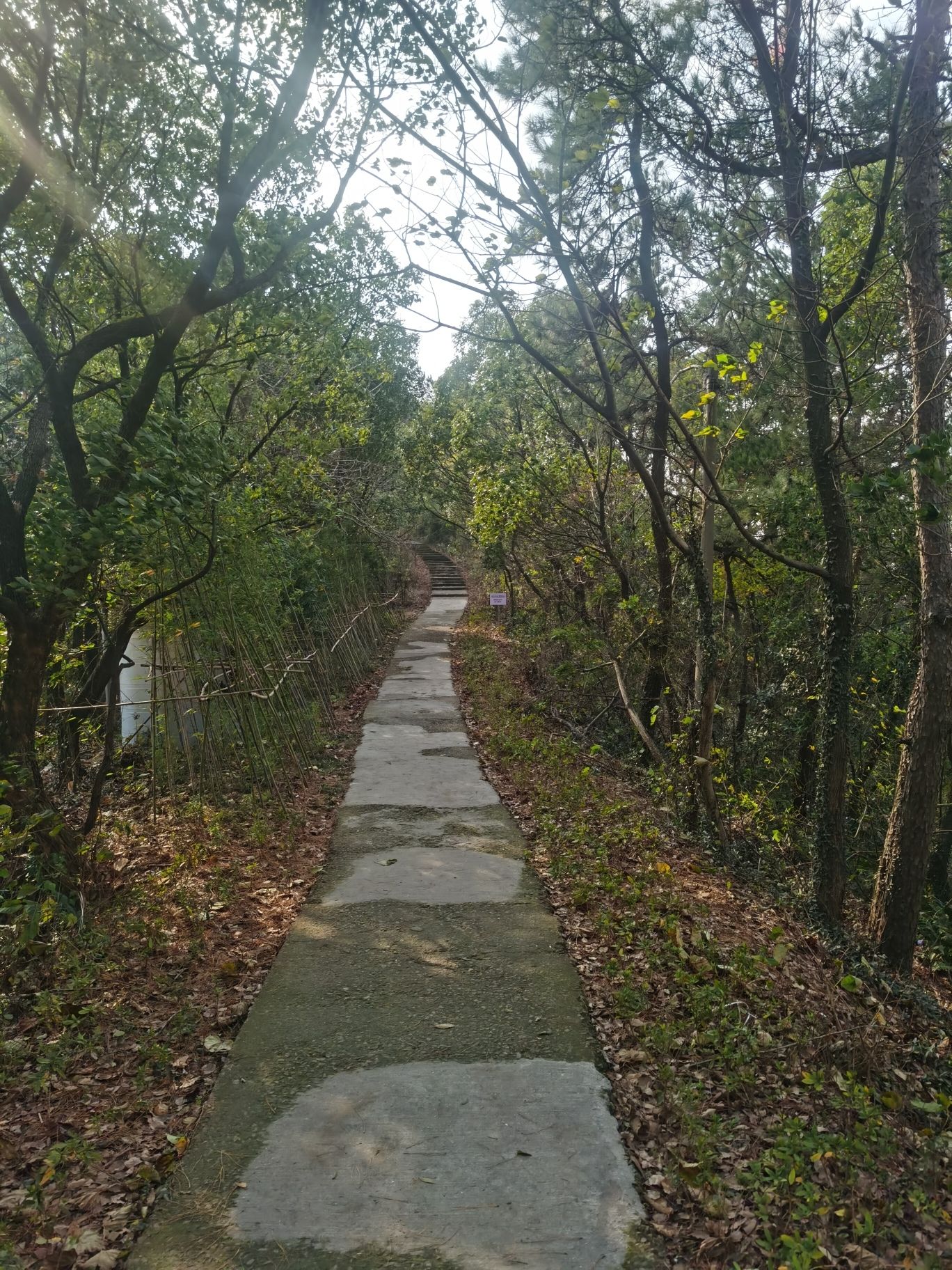 渚山公园旅行图片 1