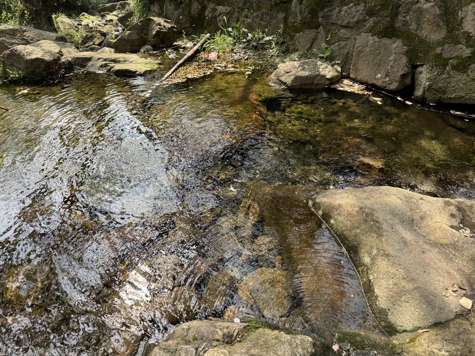 九峰山旅游区旅行图片 2