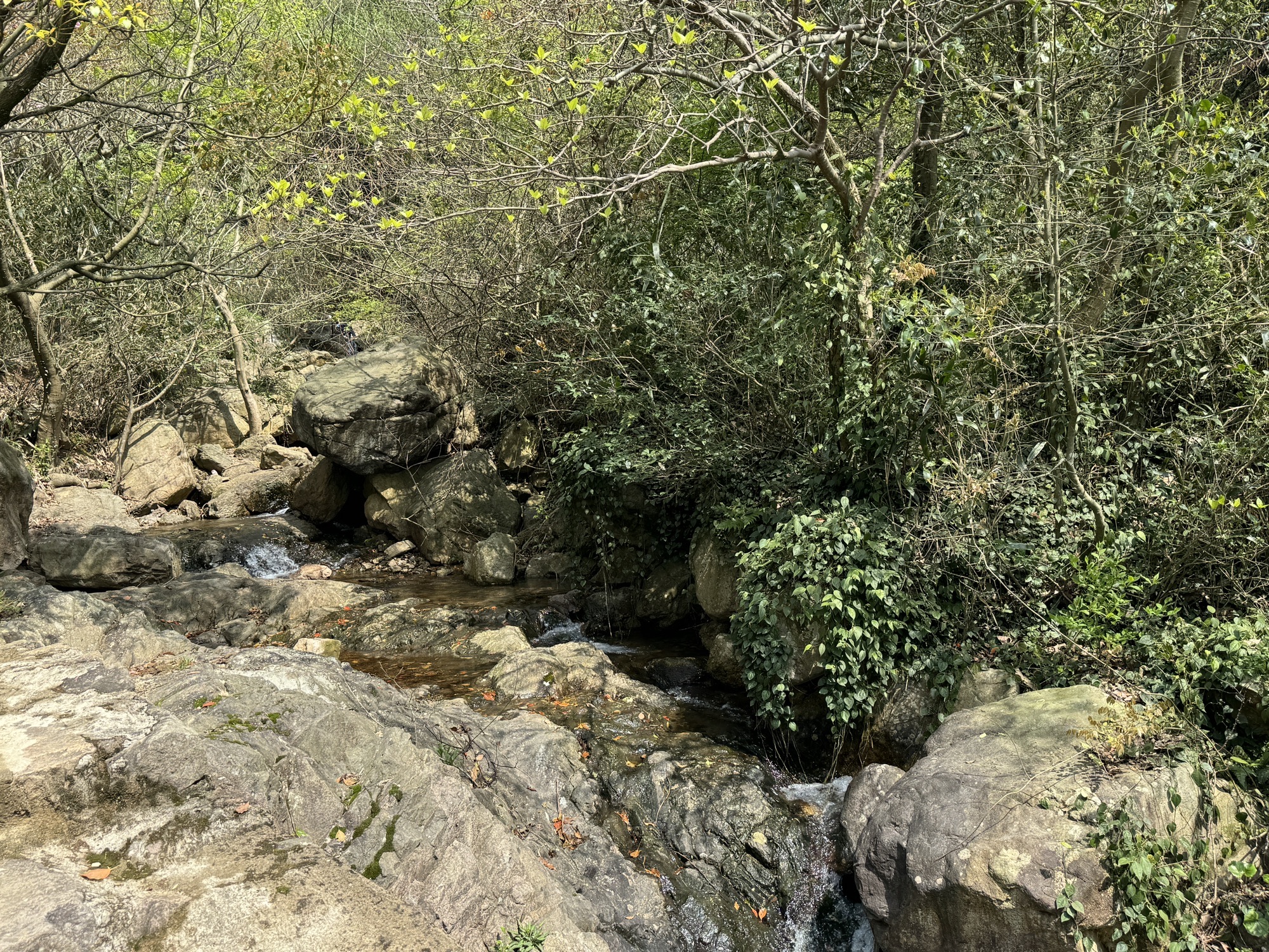 九峰山旅游区旅行图片 3