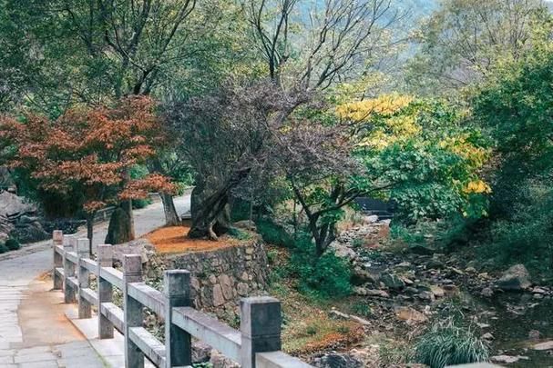 九峰山旅游区旅行图片 2