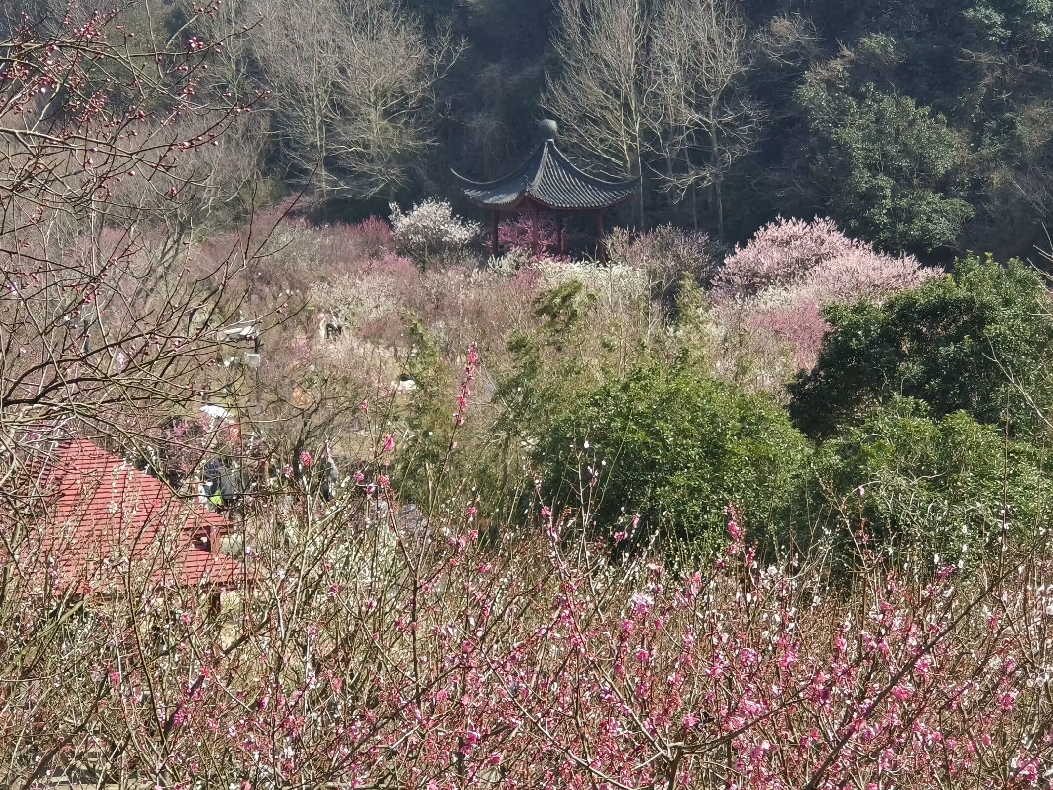 九峰山旅游区旅行图片 1