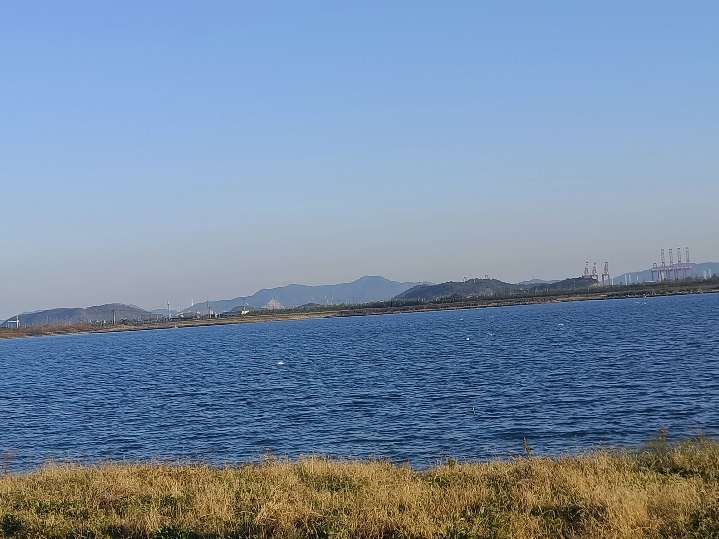 海塘观景台旅行图片 1