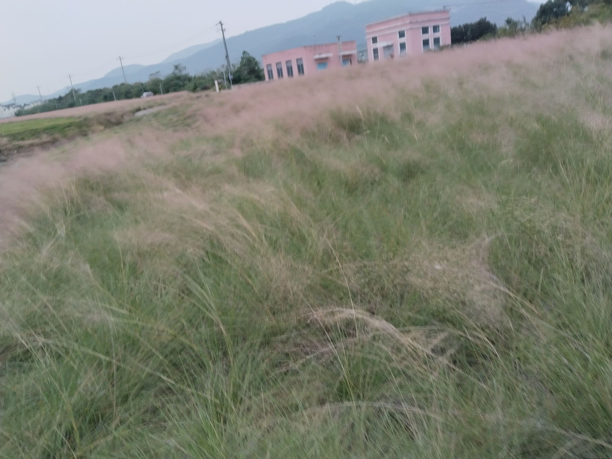 海塘观景台旅行图片 3