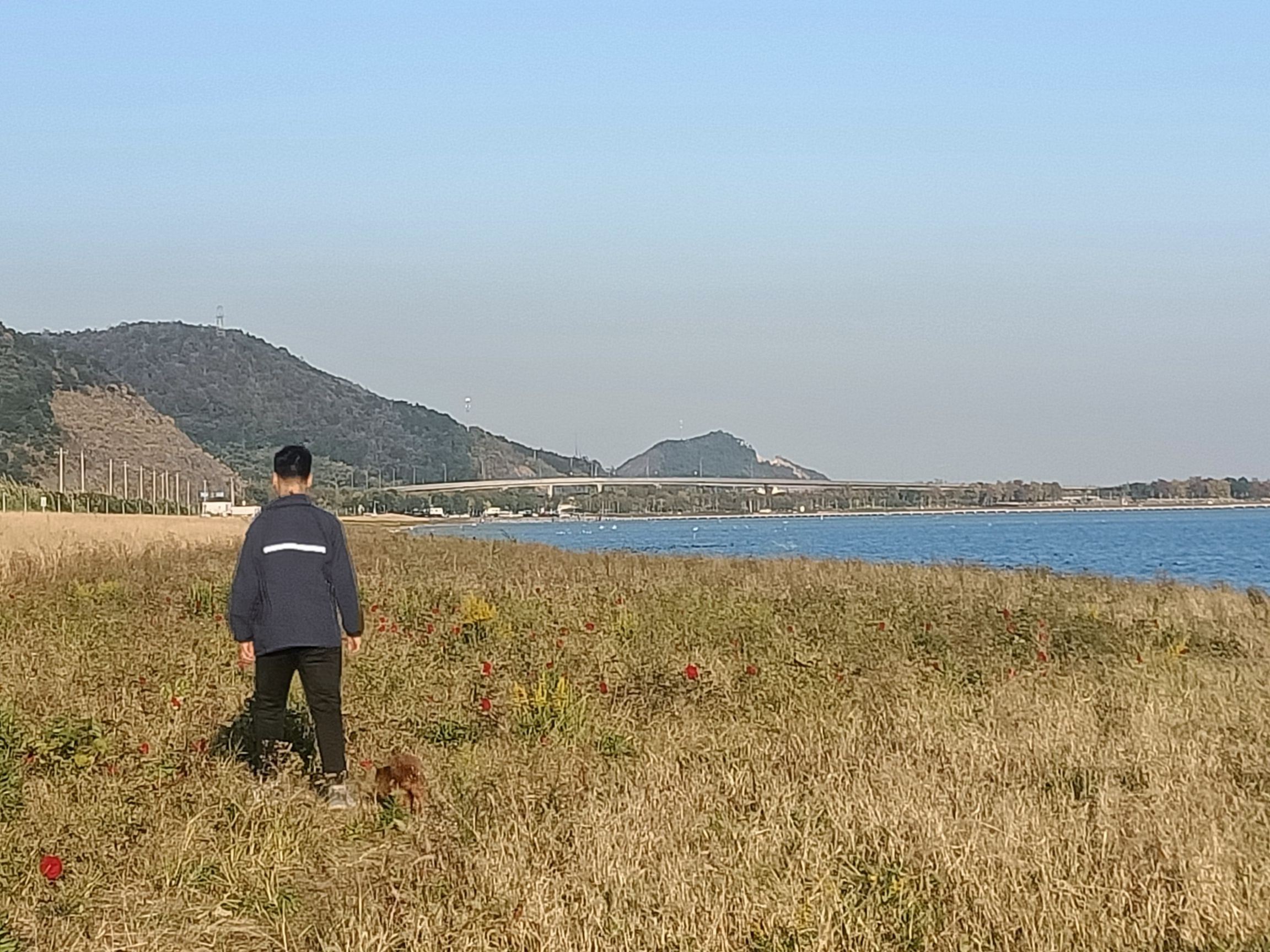 海塘观景台旅行图片 3