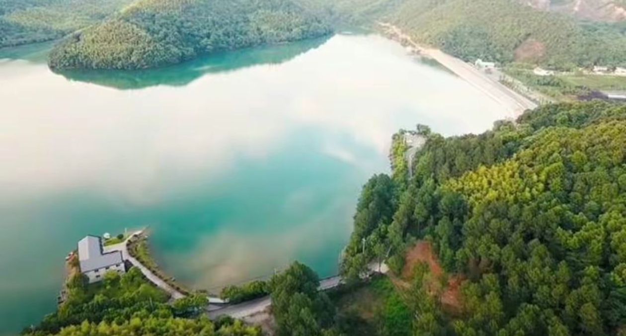 庄桥公园旅行图片 3