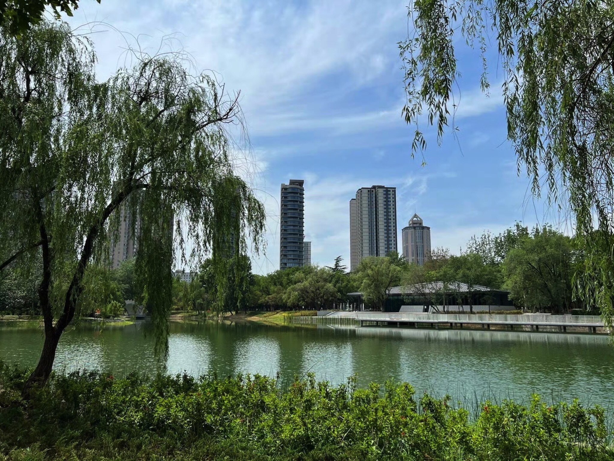 新浦公园旅行图片 1