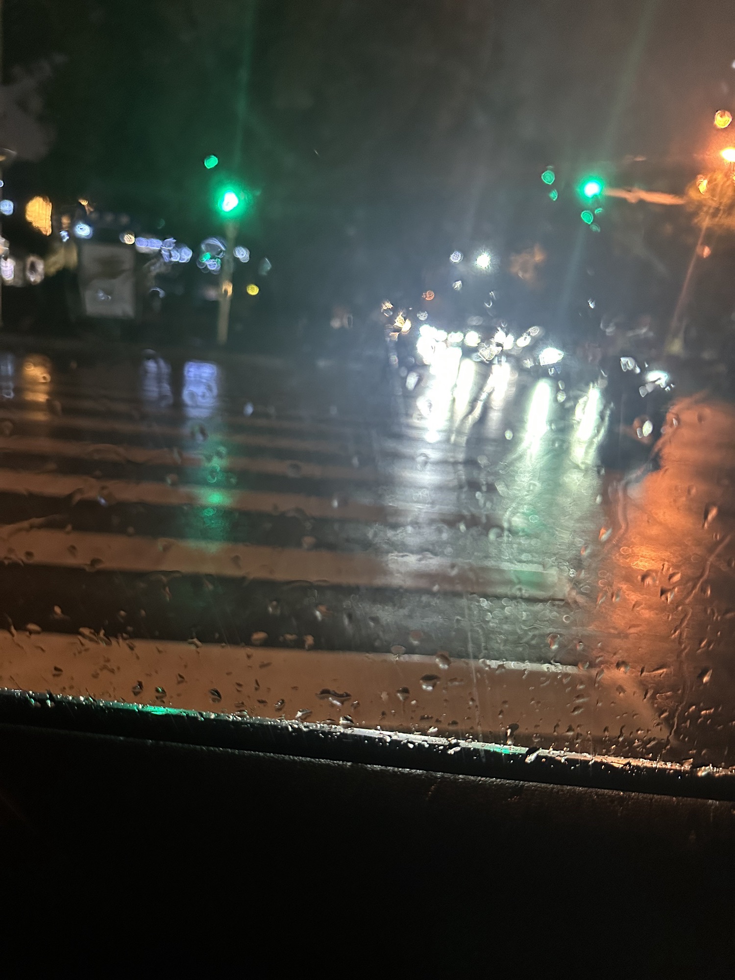 新浦公园旅行图片 2