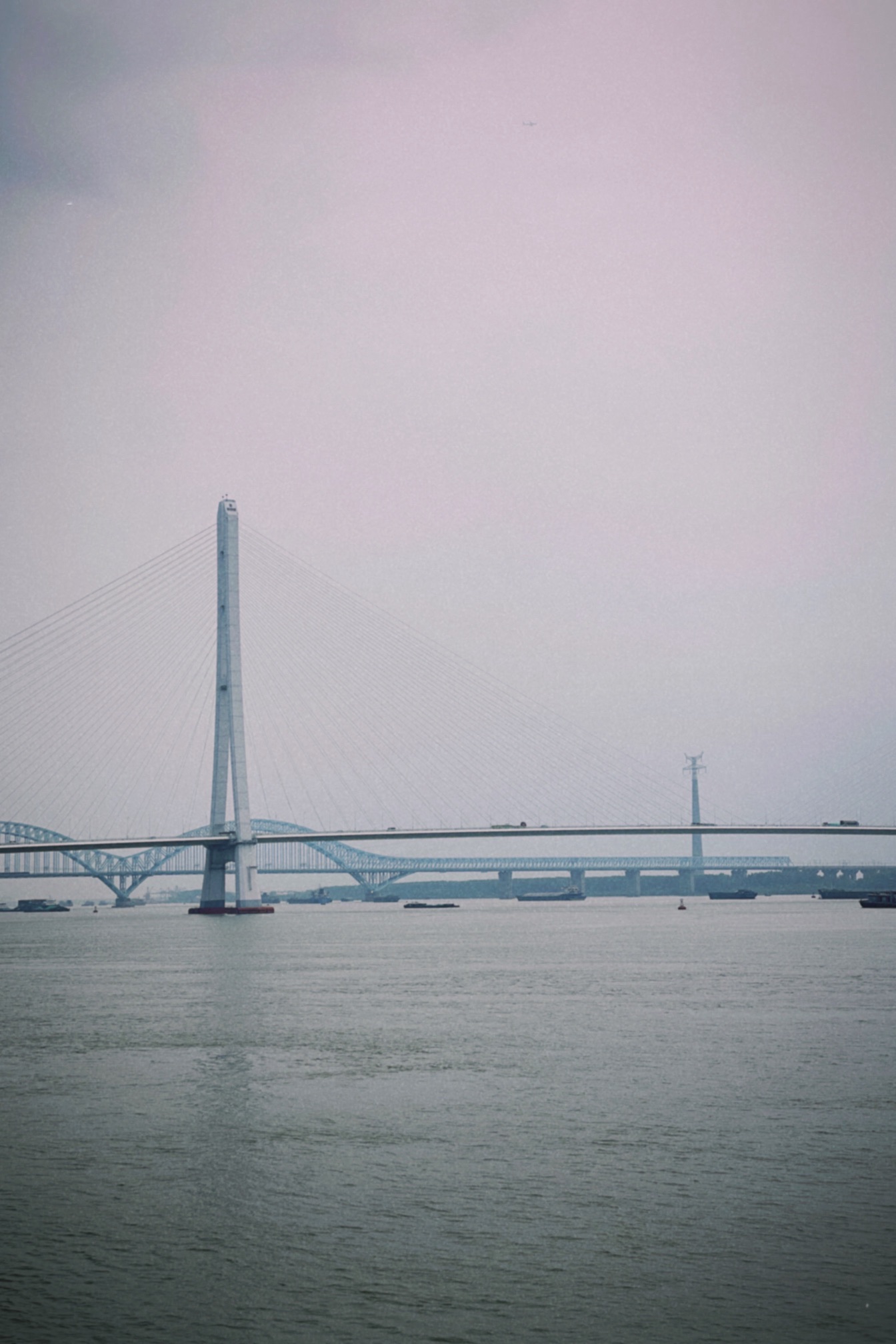 新浦公园旅行图片 3