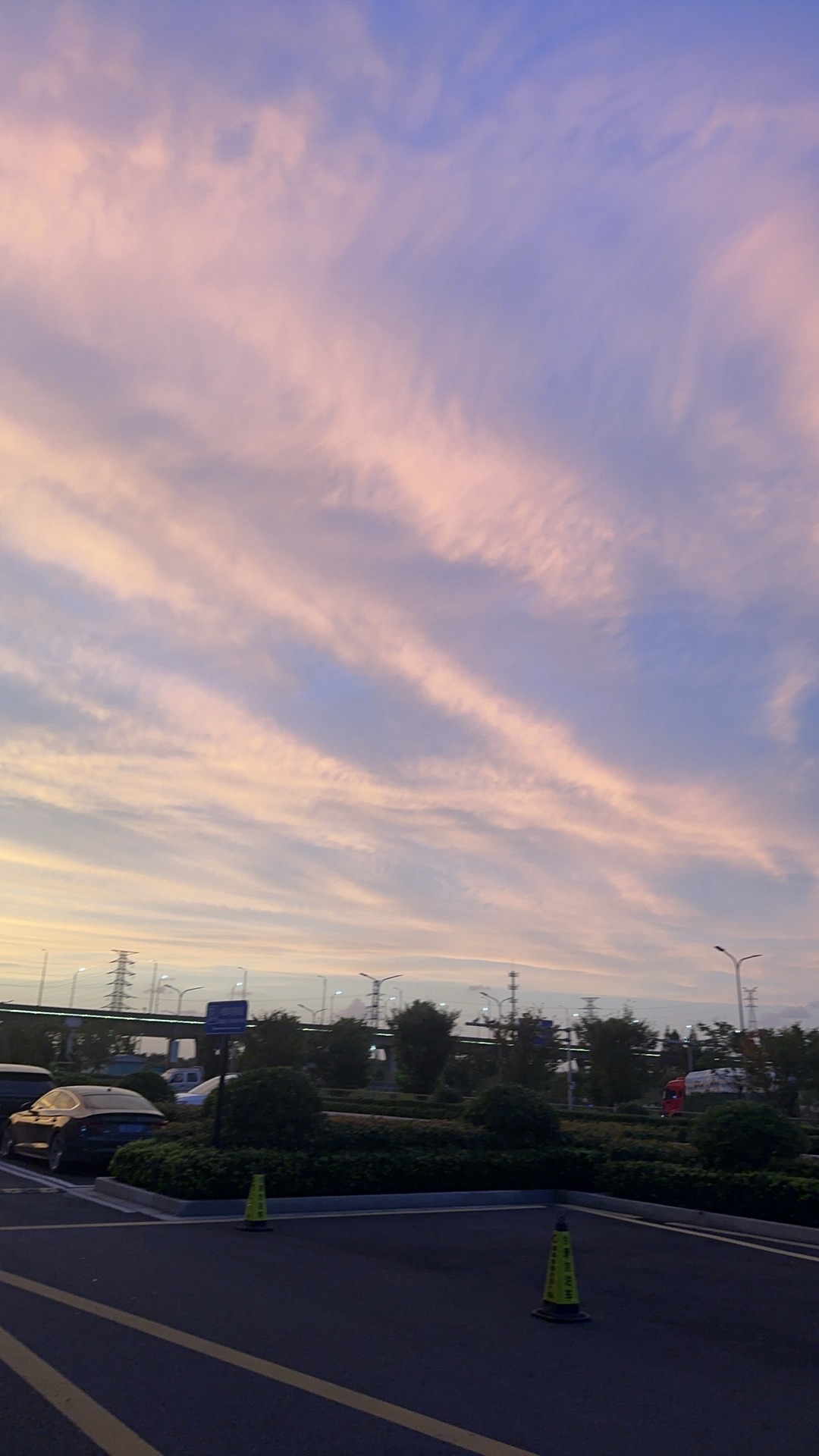 新浦公园旅行图片 1