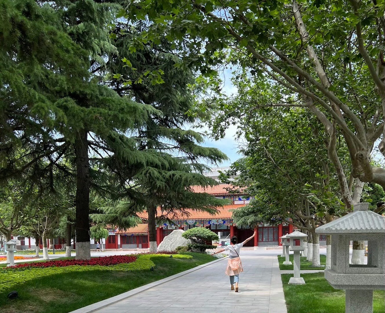 新浦公园旅行图片 3