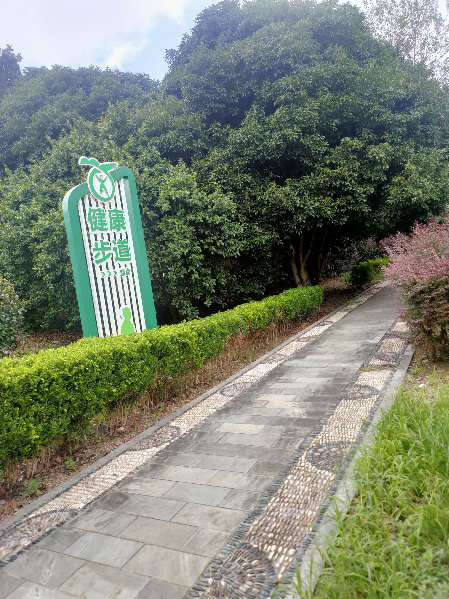 湖滨公园旅行图片 2