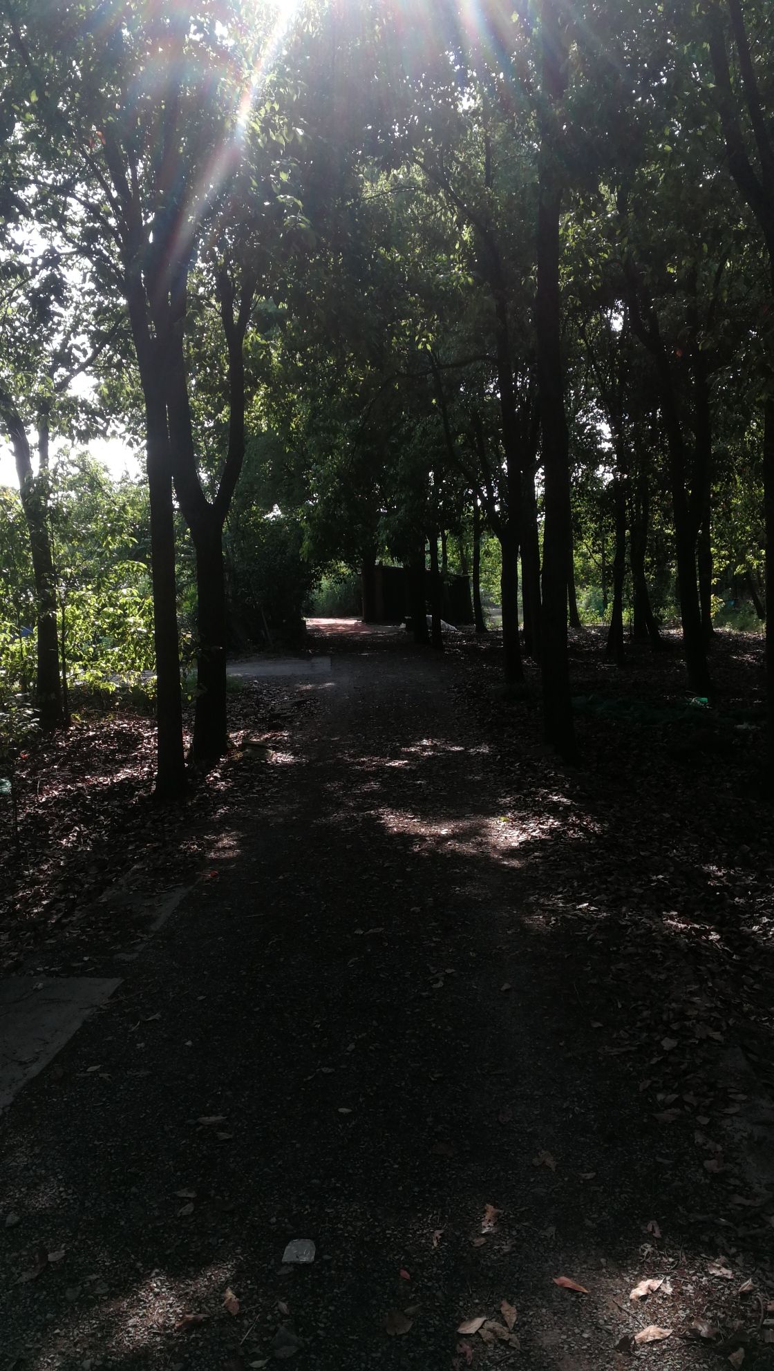 永旺村休闲公园旅行图片 3