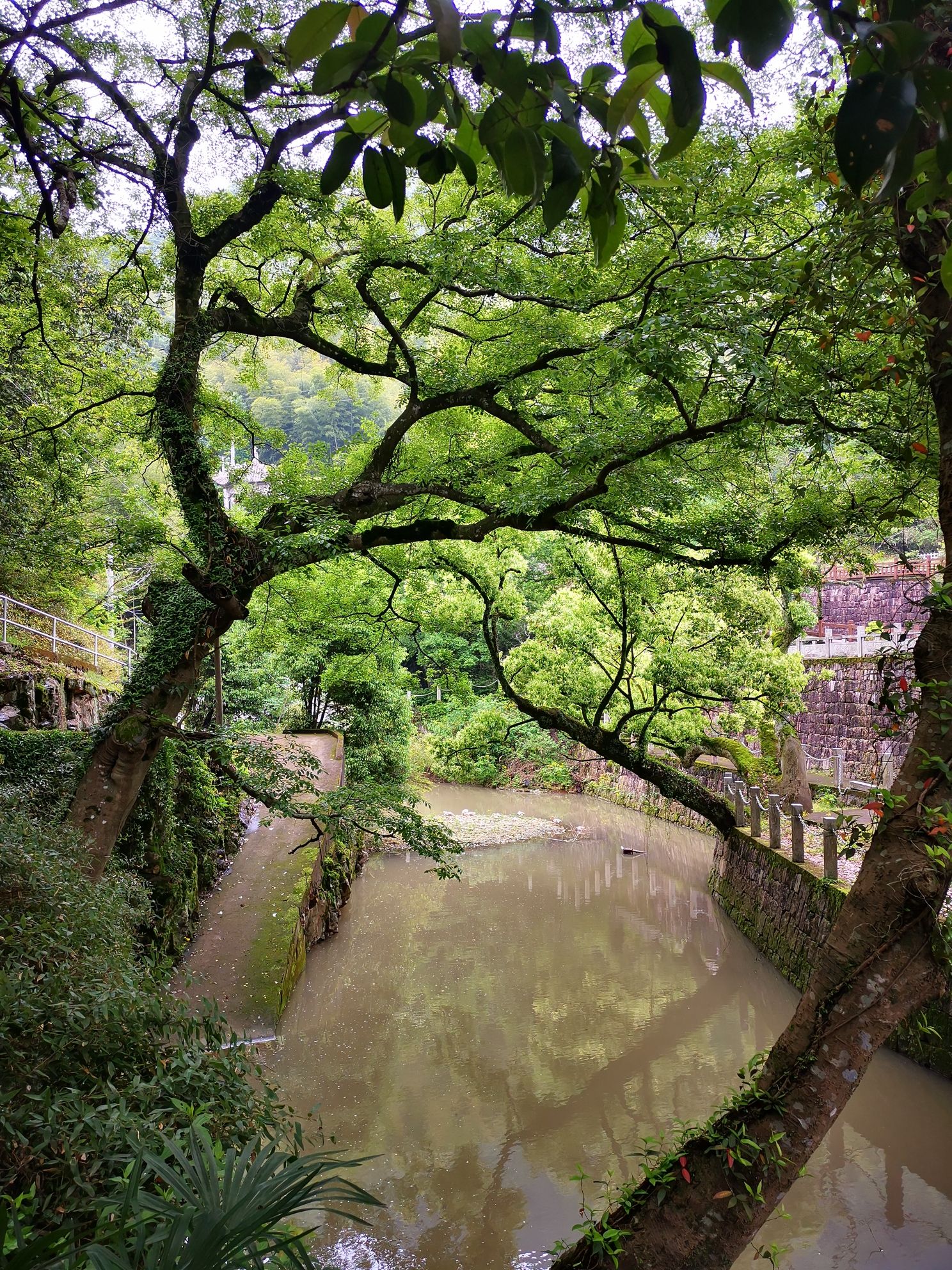石井龙潭景区旅行图片 1