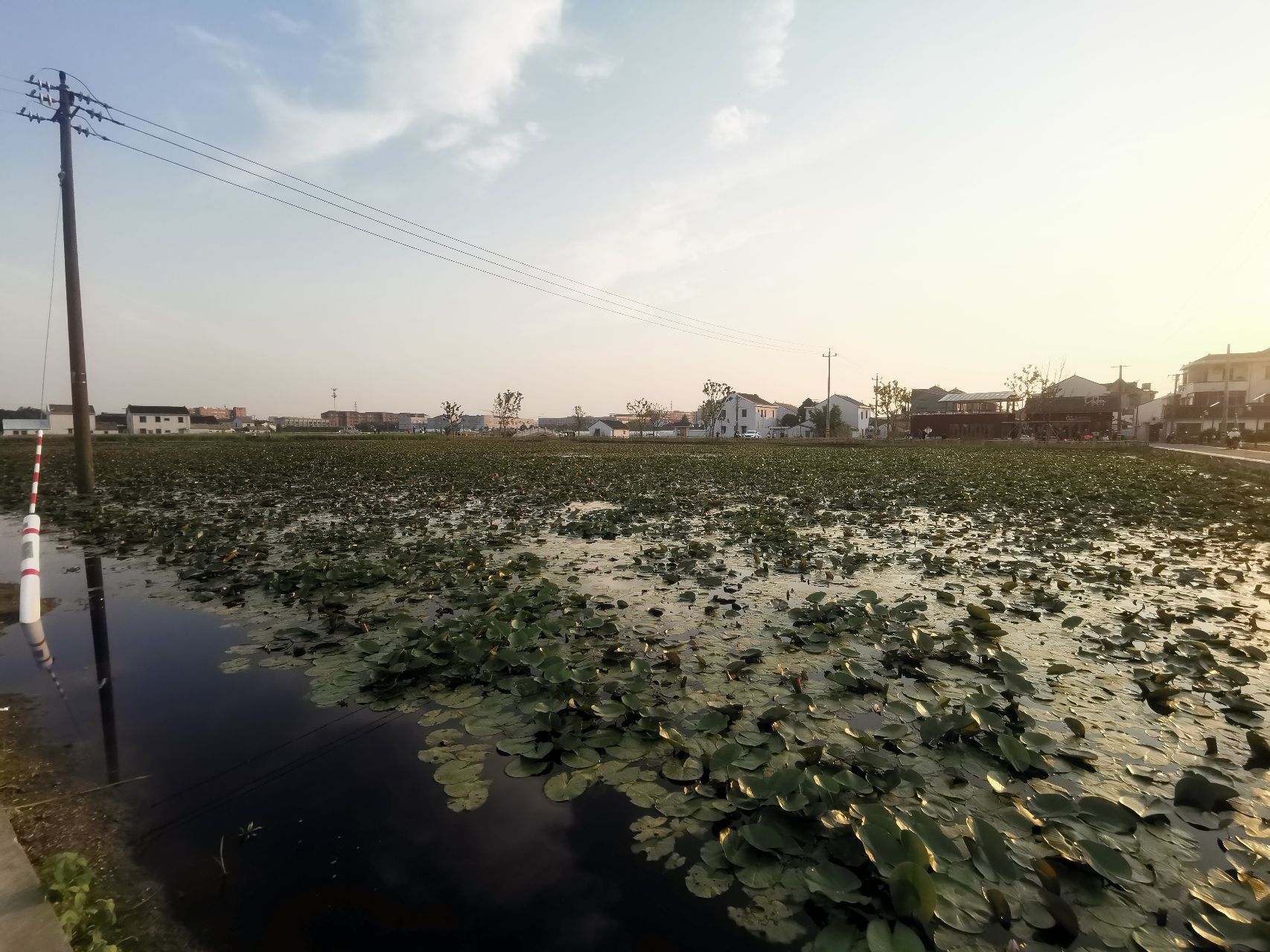 郑氏十七房景区旅行图片 3