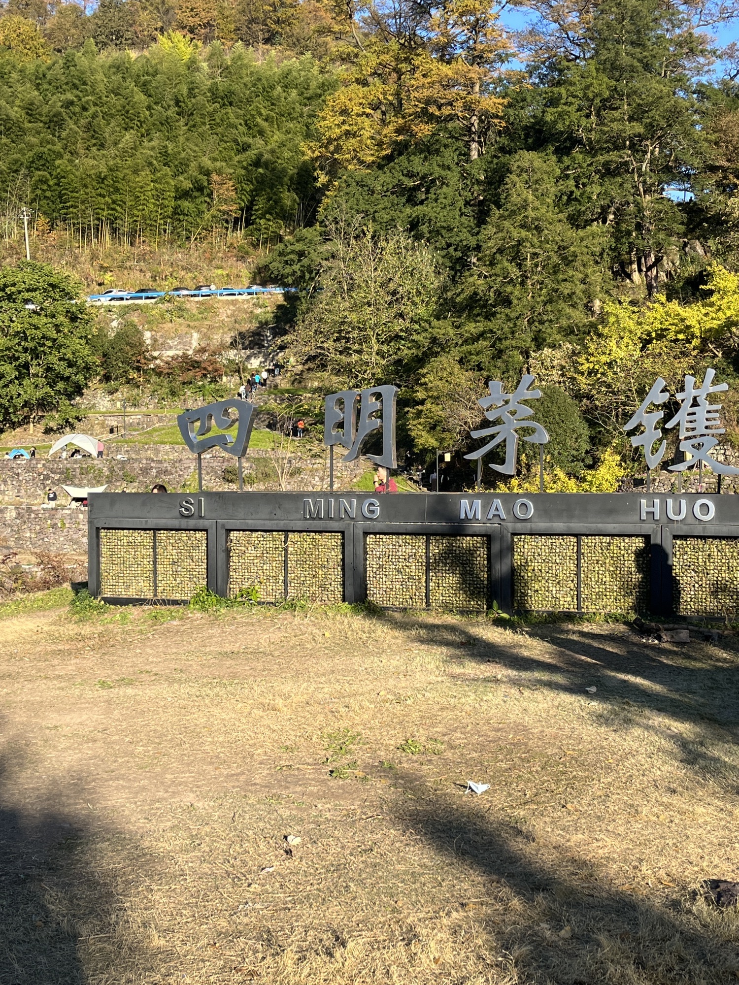 茅镬古树公园旅行图片 1