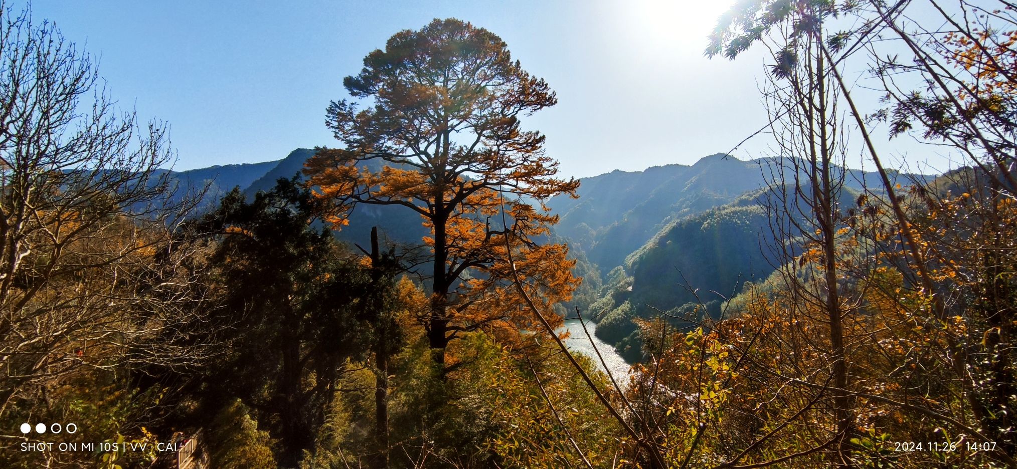 茅镬古树公园旅行图片 1