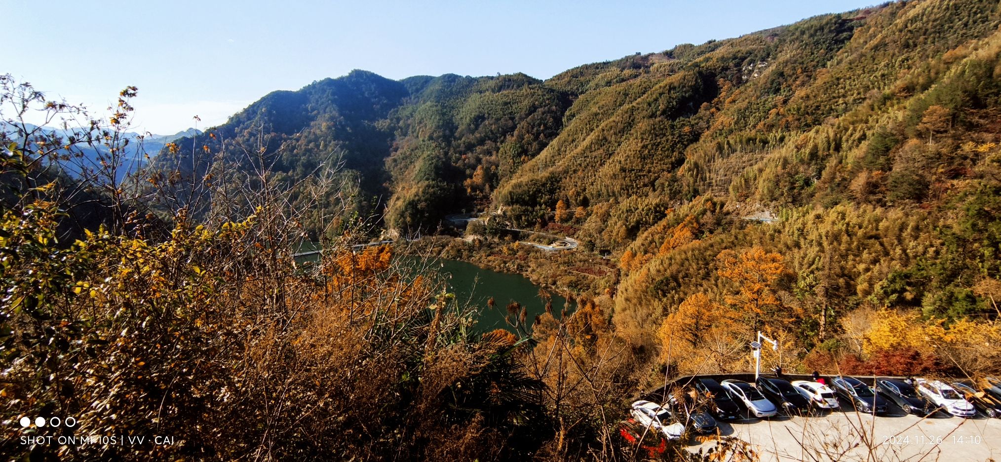 茅镬古树公园旅行图片 3
