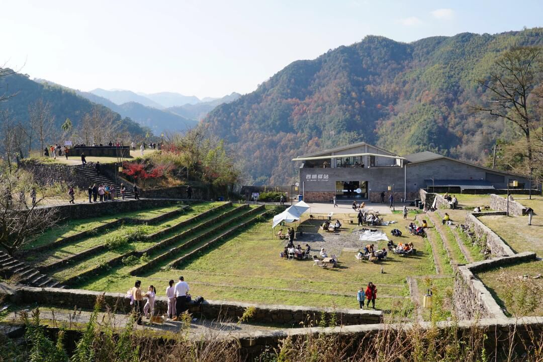 茅镬古树公园旅行图片 3