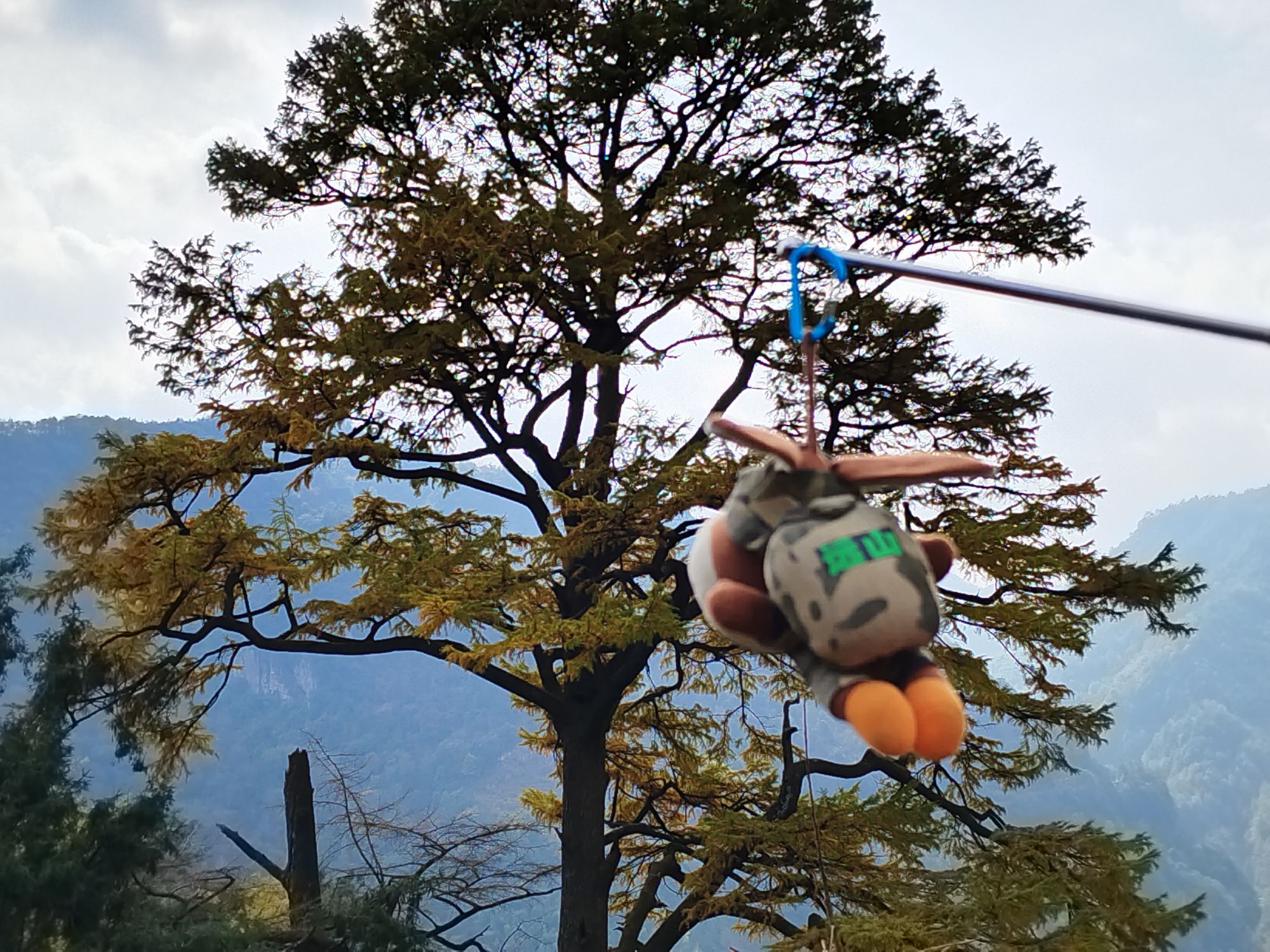 茅镬古树公园旅行图片 1
