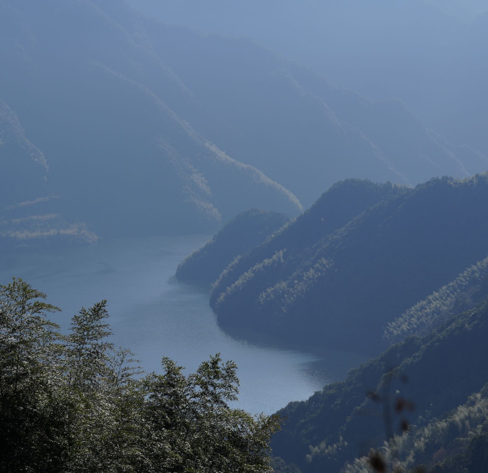 茅镬古树公园旅行图片 3