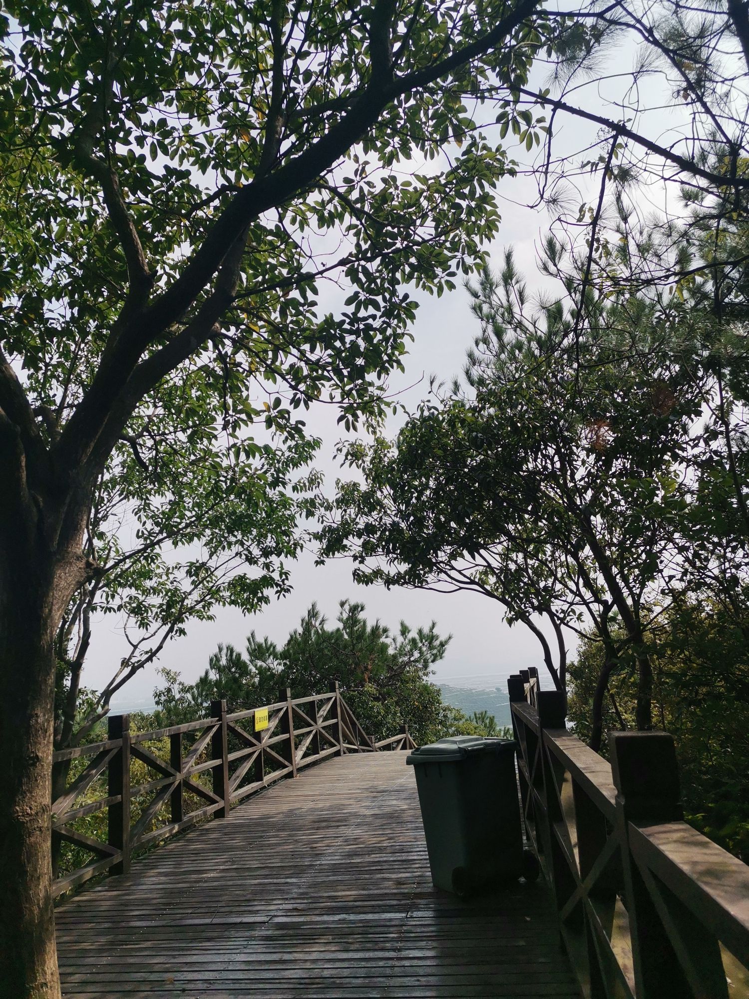 王干山旅行图片 3