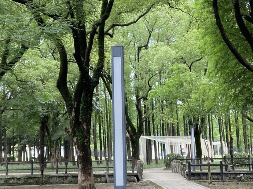 蛟山公园旅行图片 2