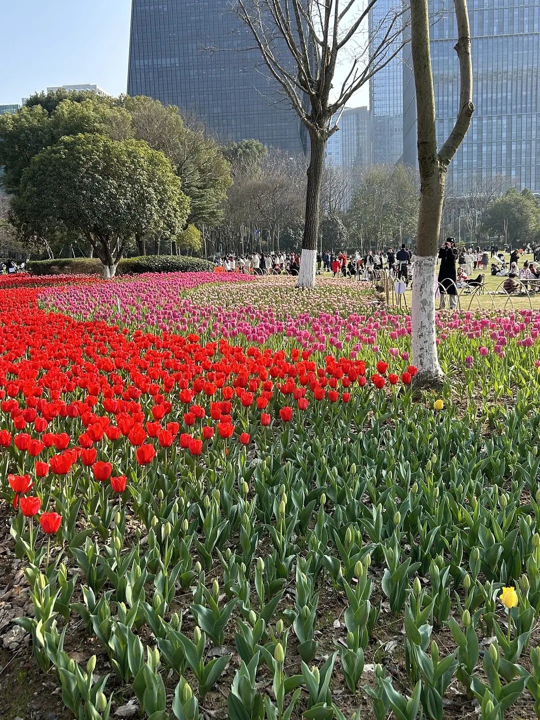 鄞州公园旅行图片 1