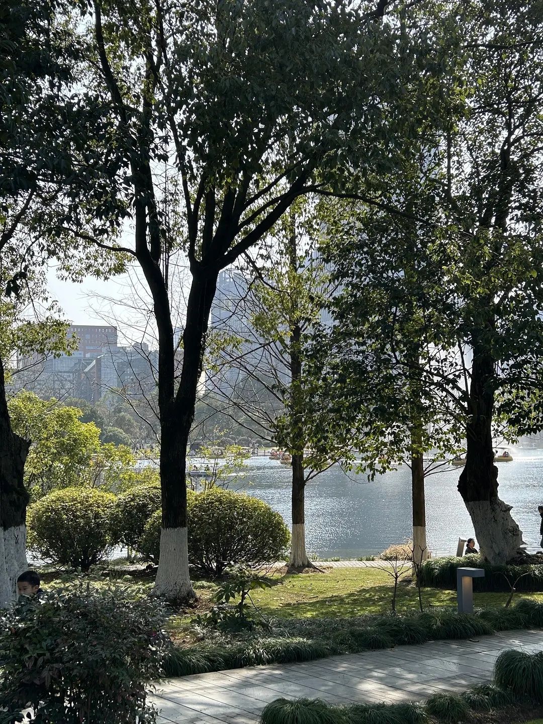 鄞州公园旅行图片 3