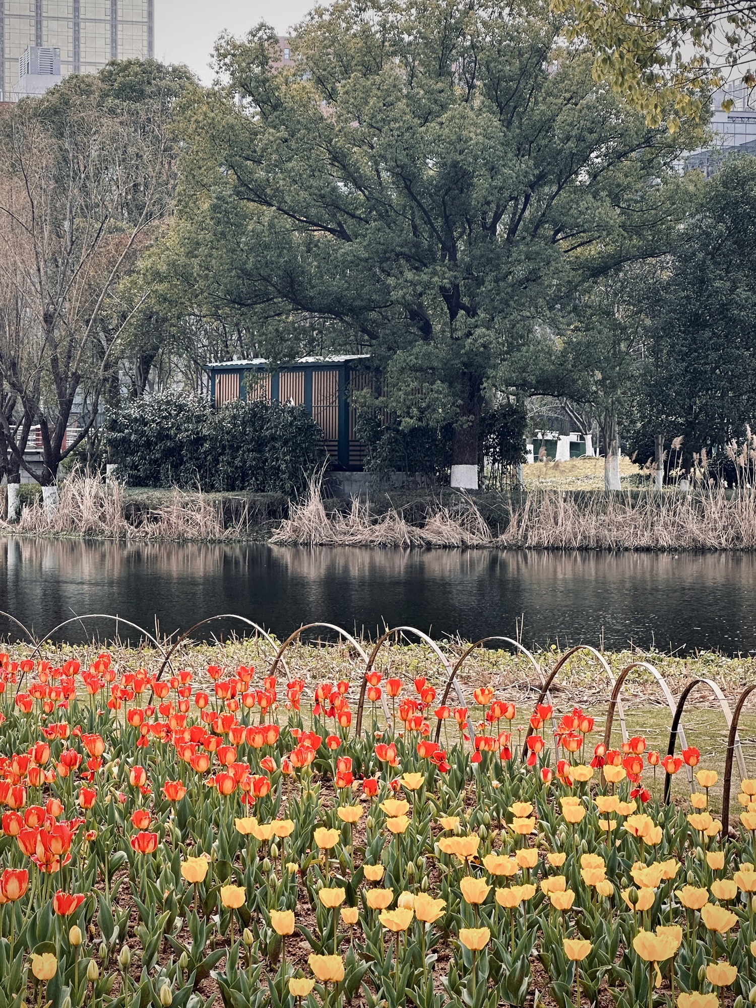 鄞州公园旅行图片 2