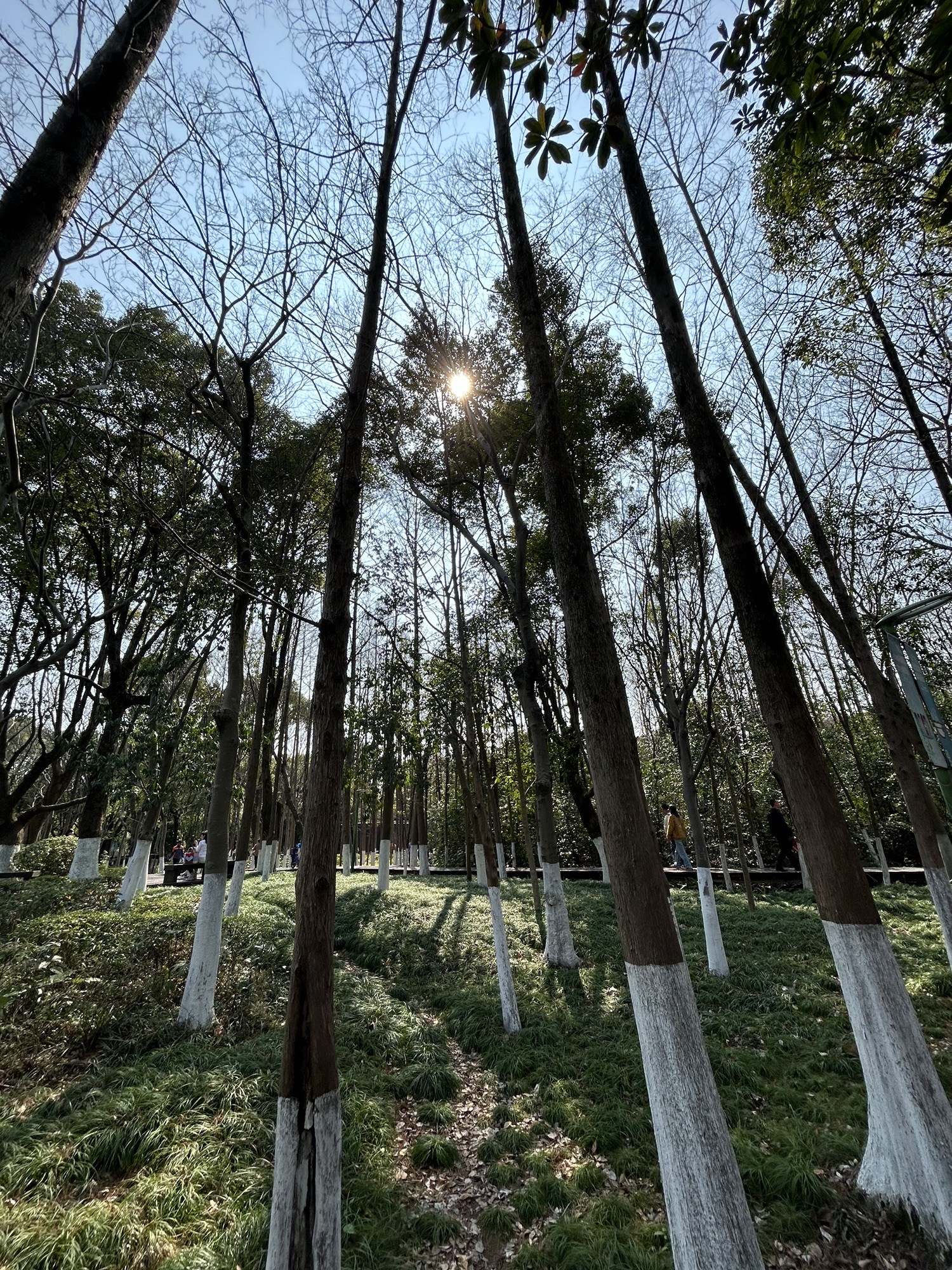 鄞州公园旅行图片 1