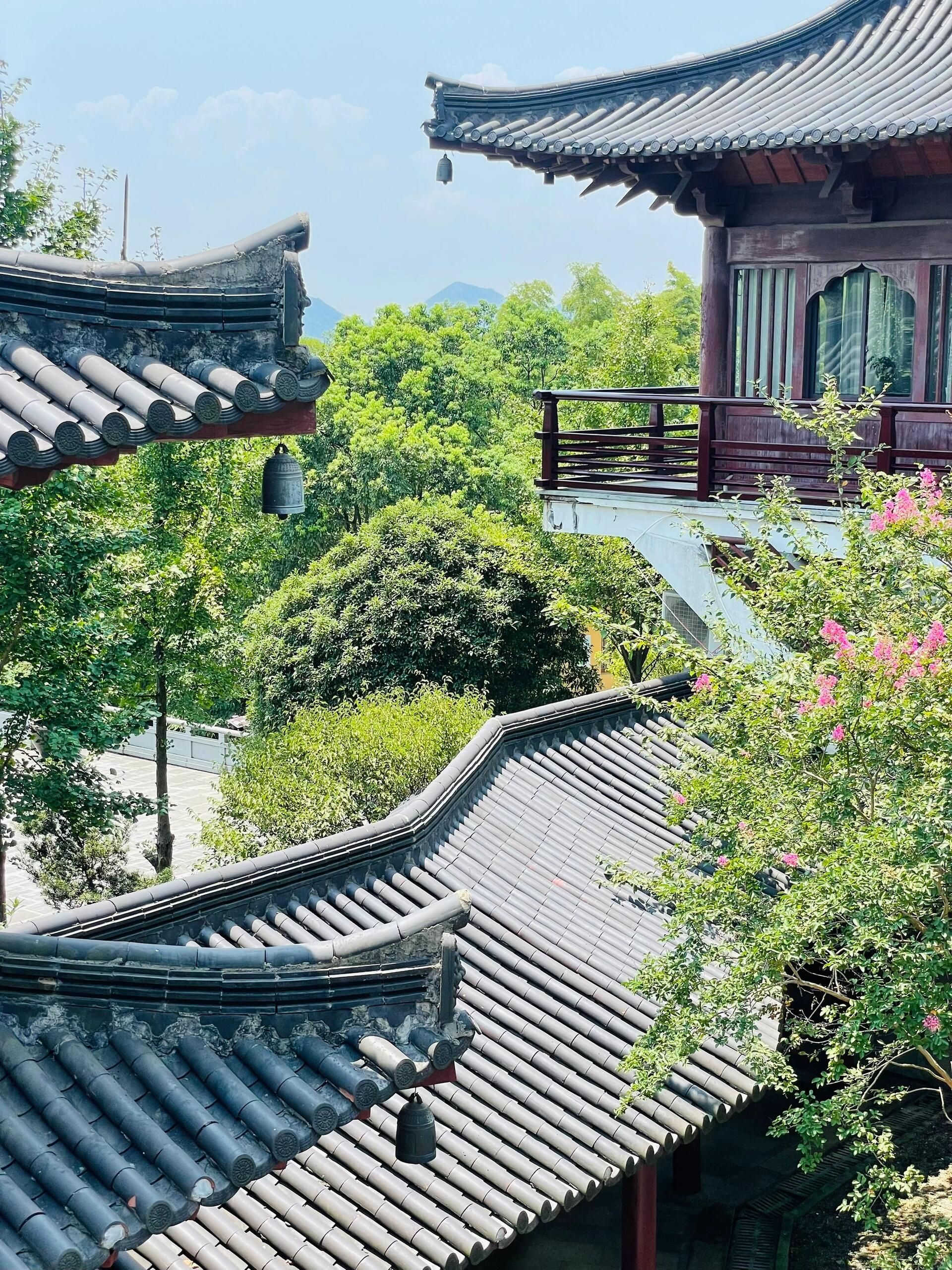 雅戈尔达蓬山旅游度假区旅行图片 1