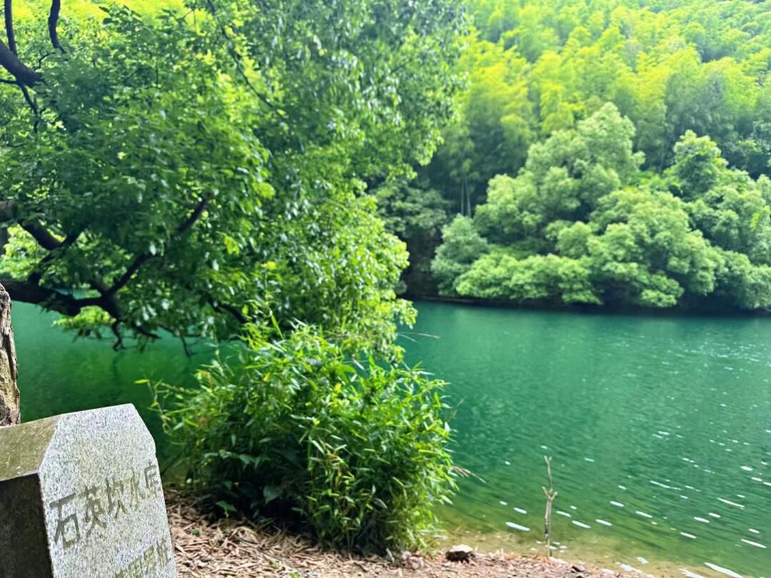雅戈尔达蓬山旅游度假区旅行图片 1