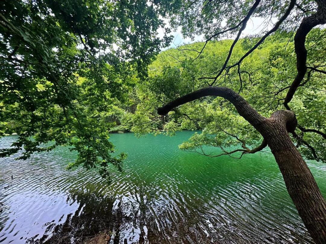 雅戈尔达蓬山旅游度假区旅行图片 2