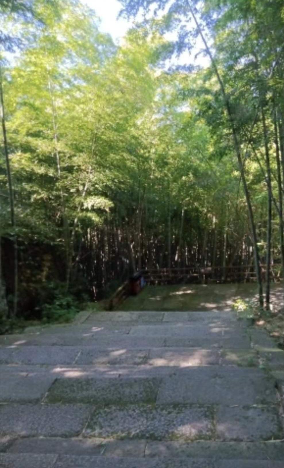 雅戈尔达蓬山旅游度假区旅行图片 1