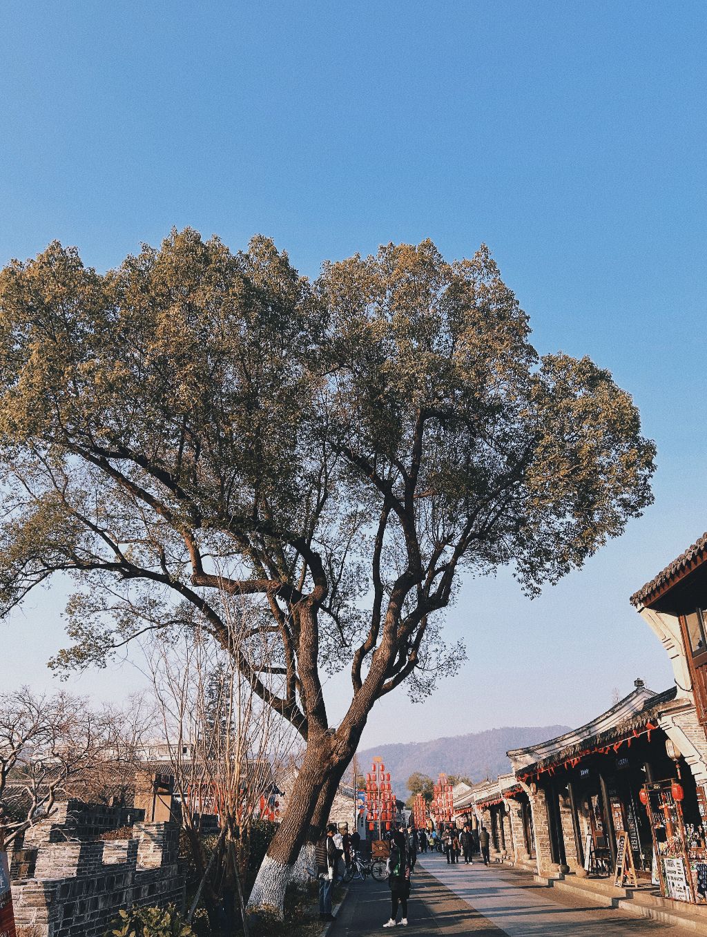 慈城古县城旅行图片 1