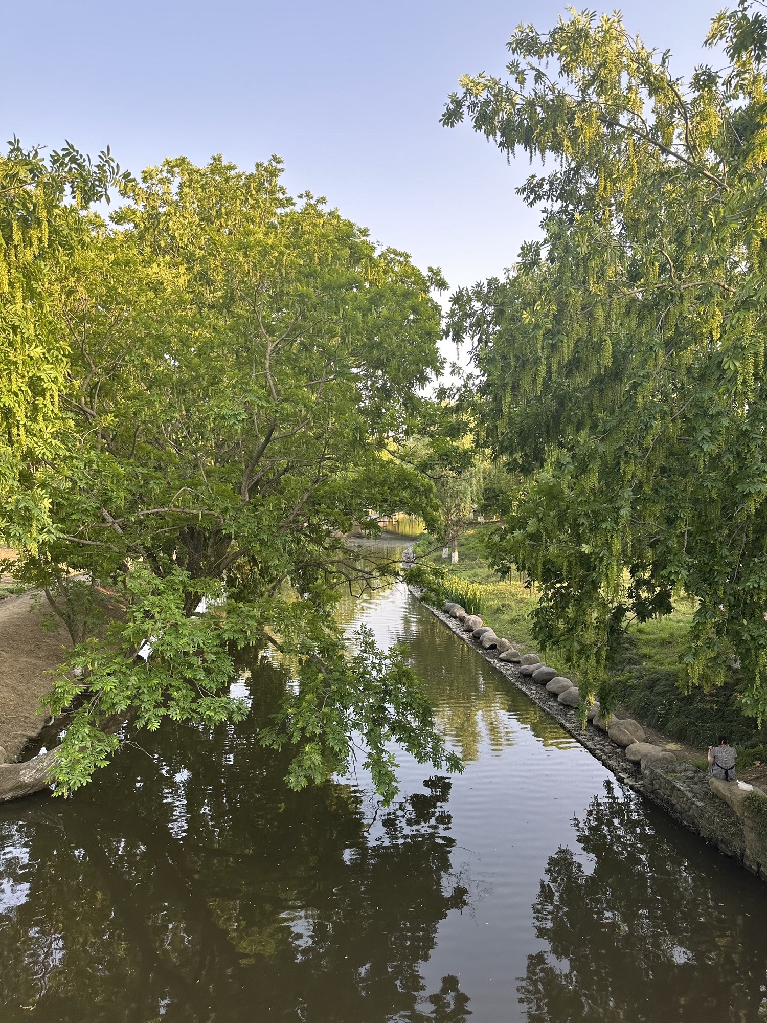 慈城古县城旅行图片 1