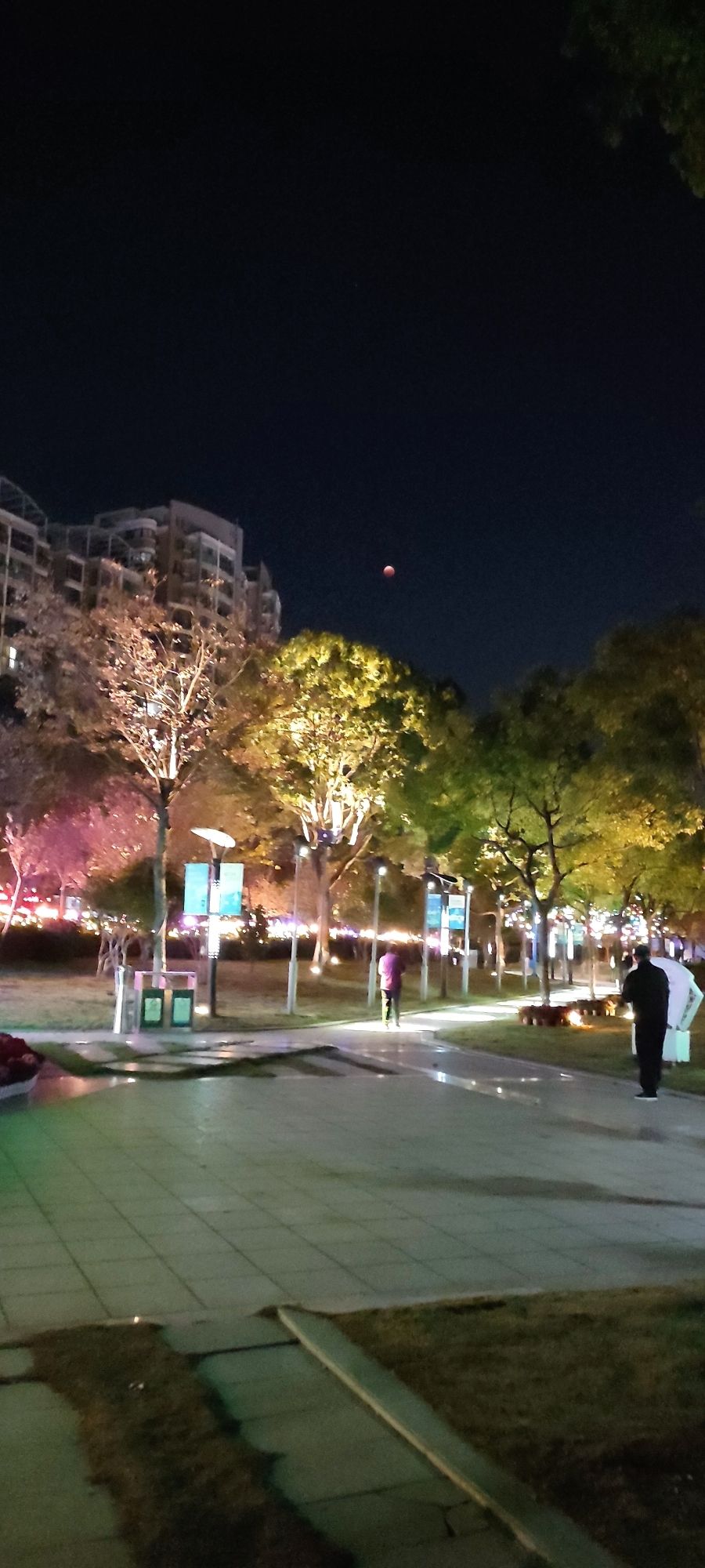 沿江景观带旅行图片 3