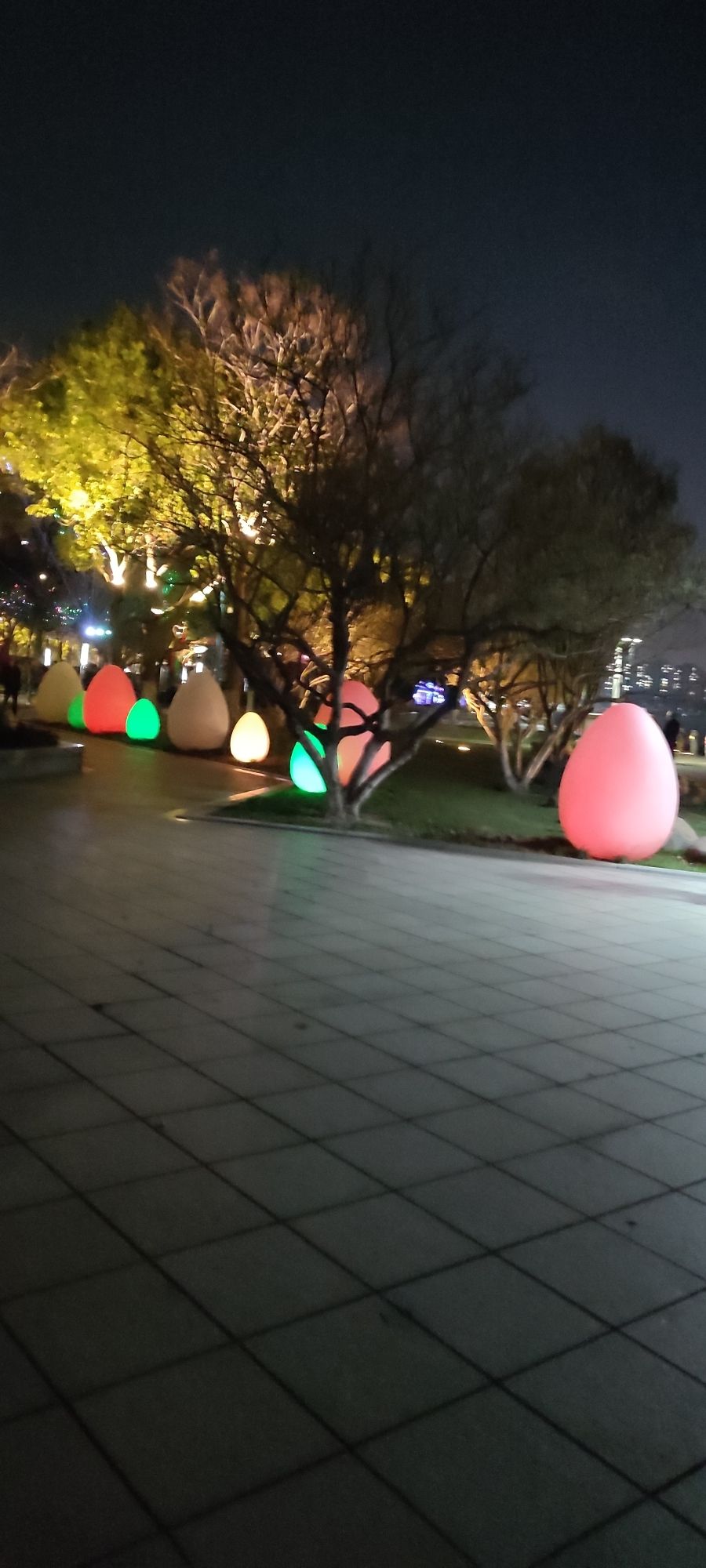 沿江景观带旅行图片 2