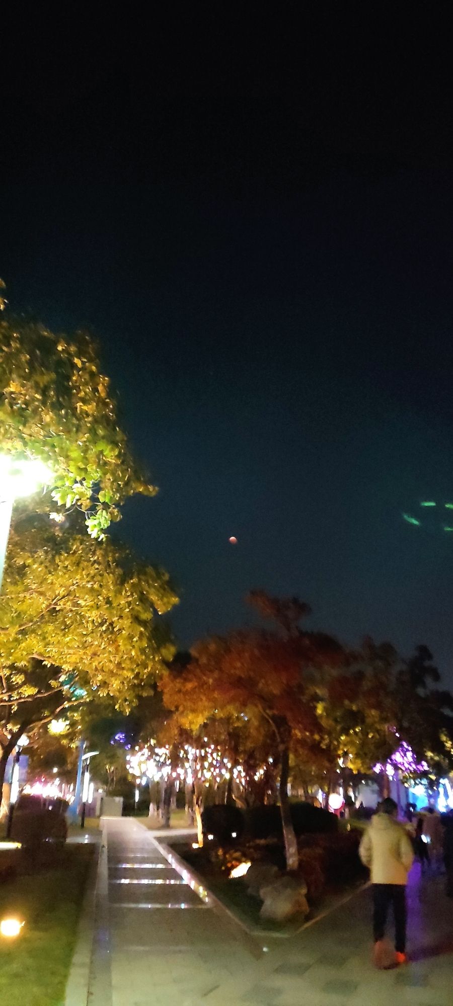 沿江景观带旅行图片 1