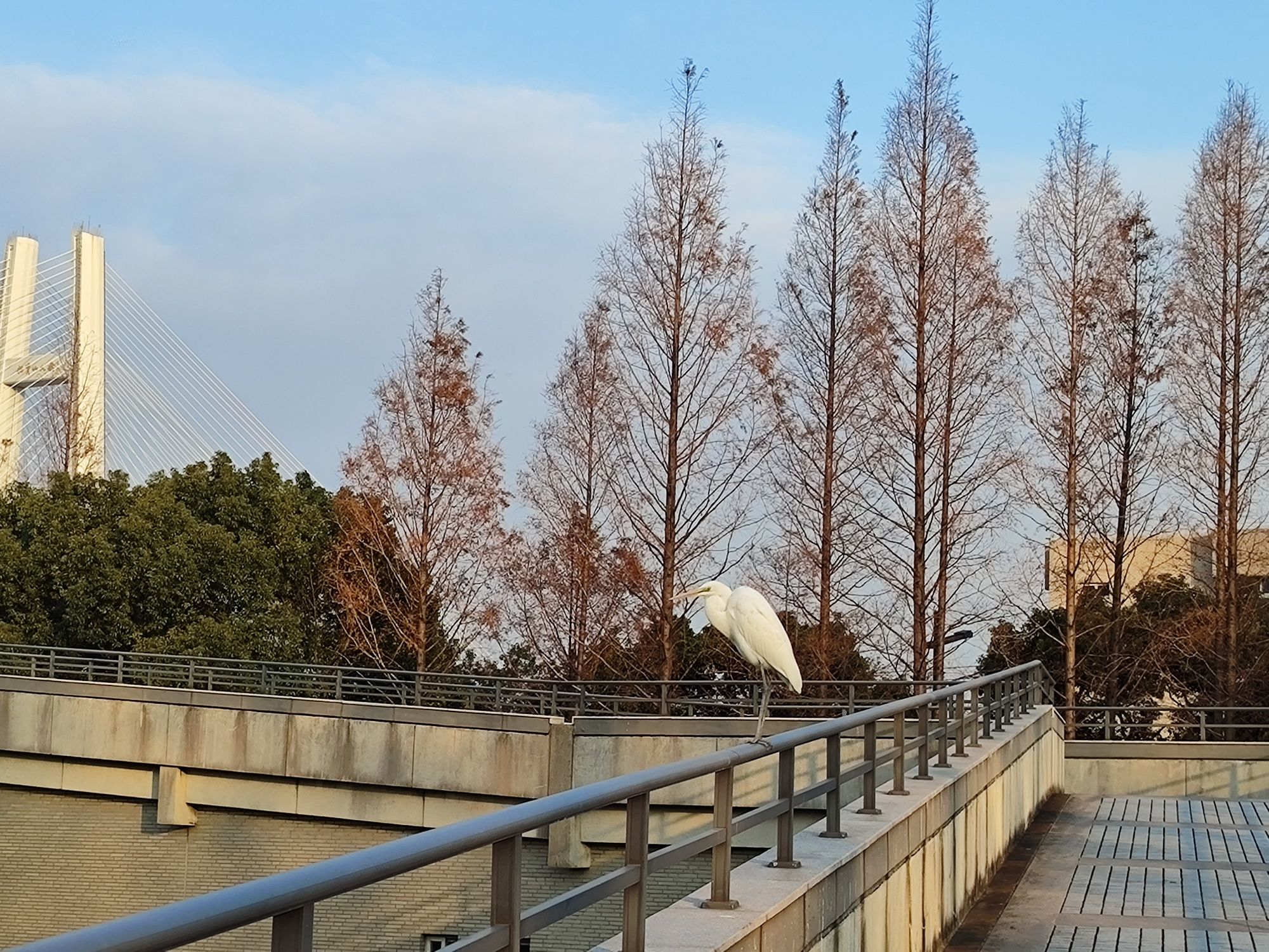 海天公园旅行图片 3